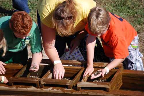 Children and an adult sift through wooden boxes, searching for small items, outdoors on a sunny day.