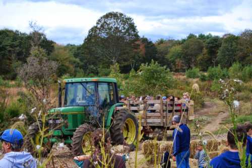 A green tractor pulls a hayride filled with people through a rural landscape with trees and tall grass.