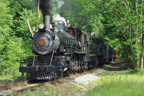 A vintage steam locomotive chugs along a green, tree-lined track, pulling a colorful passenger train behind it.