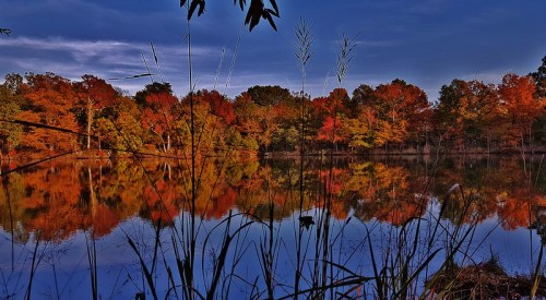A serene lake surrounded by vibrant autumn foliage reflecting on the water under a cloudy sky.