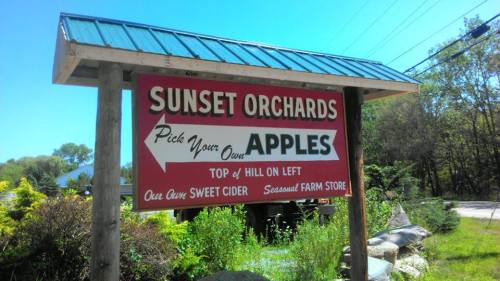 Sign for Sunset Orchards with directions to pick apples, featuring a red background and a blue roof.