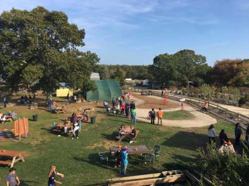 A lively outdoor scene at a farm with people enjoying activities, picnic tables, and green spaces under a clear blue sky.