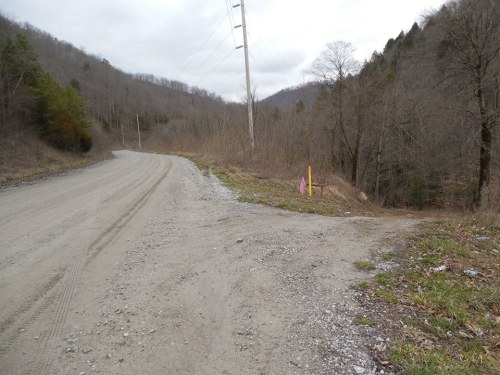 A gravel road curves with a power line nearby, surrounded by bare trees and a grassy area. A pink marker is visible.