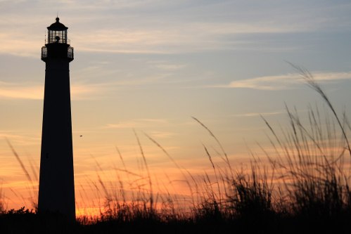 Silhouette of a lighthouse against a colorful sunset, with tall grass in the foreground.
