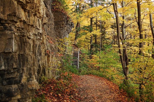 A winding path through a forest with vibrant autumn leaves and a wooden staircase leading up a rocky cliff.