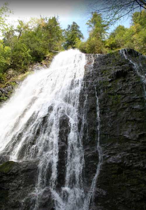 A cascading waterfall surrounded by lush green trees and rocky terrain under a clear blue sky.