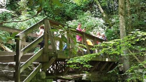 A wooden bridge in a lush green forest with people walking and enjoying the scenery.