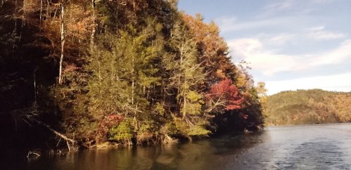 A serene river scene with colorful autumn trees reflecting on the water under a clear sky.