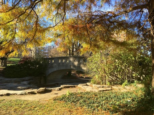 A stone bridge surrounded by vibrant autumn foliage in a serene park setting.