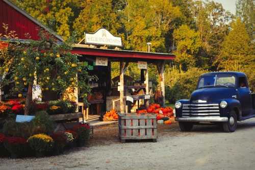 A rustic farm stand with pumpkins and flowers, featuring an old blue truck parked nearby under a sunny sky.