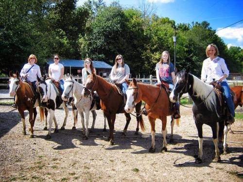 A group of six people on horseback, smiling in a sunny outdoor setting with trees in the background.