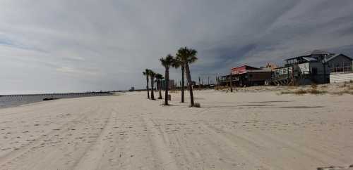 A sandy beach lined with palm trees, with a few buildings in the background under a cloudy sky.