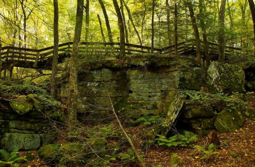 A wooden bridge above rocky terrain, surrounded by lush green trees and ferns in a forested area.