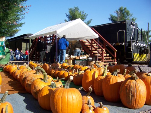 A pumpkin patch with numerous pumpkins in front of a tent and people gathered near a train car in the background.