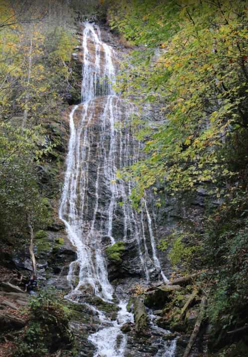 A serene waterfall cascading down rocky terrain, surrounded by lush green trees and autumn foliage.