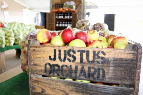 A wooden crate labeled "Justus Orchard" filled with red and green apples, surrounded by more produce in a market setting.