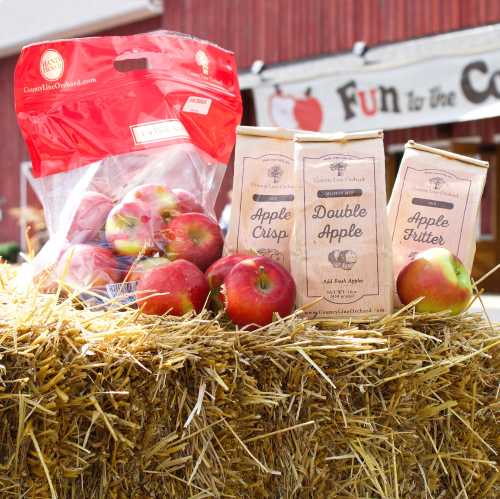 A bag of apples and three boxes labeled "Apple Crisp," "Double Apple," and "Apple Fritter" on a hay bale.