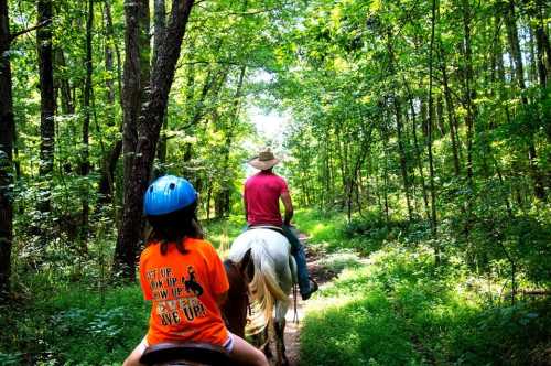 A child in a helmet rides a horse behind an adult on a trail through a lush green forest.