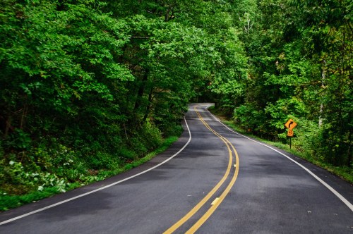 A winding road surrounded by lush green trees, with a caution curve sign visible on the right.