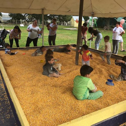 Children playing in a large sandbox filled with corn kernels, with adults supervising nearby in a sunny outdoor setting.