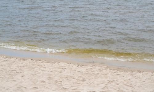 A sandy beach with gentle waves lapping at the shore, set against a calm, greenish water surface.