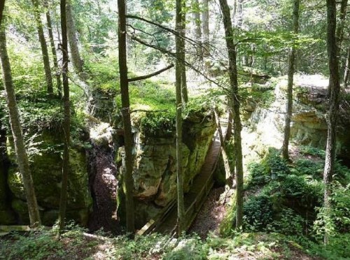 A serene forest scene with tall trees, moss-covered rocks, and a wooden bridge crossing a rocky ravine.