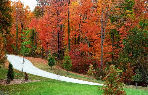 A winding white road through a vibrant autumn forest with colorful orange and red leaves.