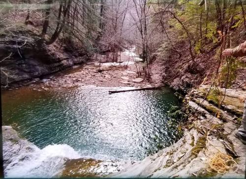 A serene river flows through a wooded area, with rocky banks and trees lining the water's edge.