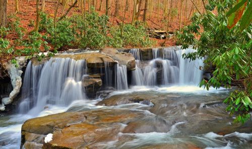 A serene waterfall cascades over rocks, surrounded by lush greenery and autumn leaves in a tranquil forest setting.