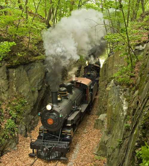 A vintage steam train chugs through a rocky, wooded area, releasing a plume of smoke into the green surroundings.