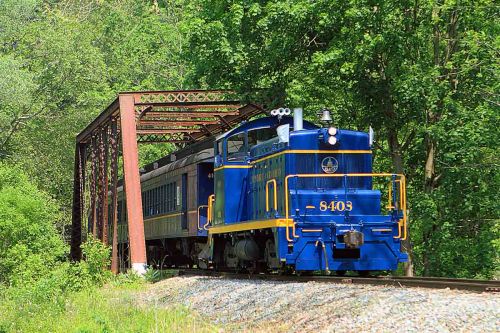 A blue and yellow train passes under a metal bridge surrounded by lush green trees.