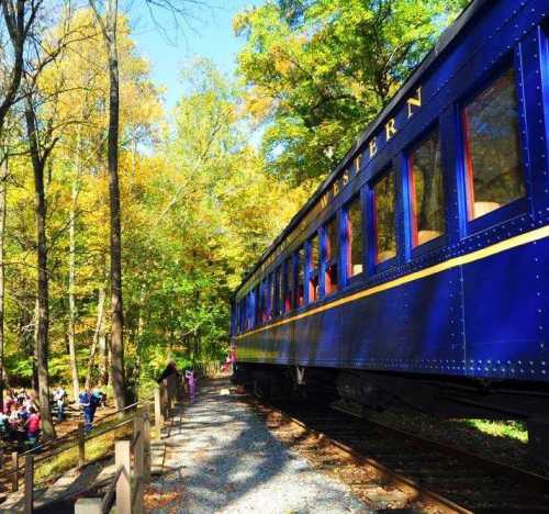 A blue train car beside a wooded area with colorful autumn leaves and people enjoying the scenery nearby.