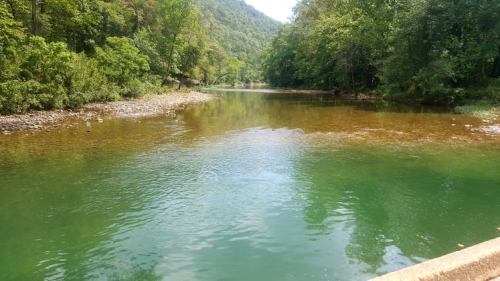 A serene river flows through a lush green landscape, surrounded by trees and mountains under a clear sky.