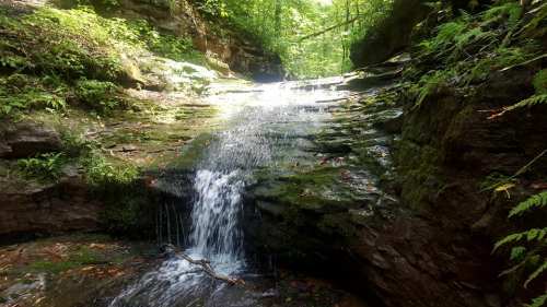 A serene waterfall cascading over rocky terrain, surrounded by lush green foliage in a tranquil forest setting.