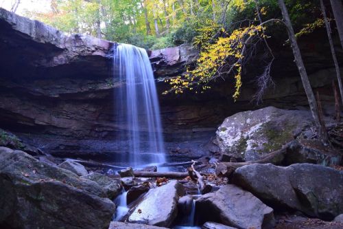 A serene waterfall cascades over rocks, surrounded by lush greenery and autumn leaves.