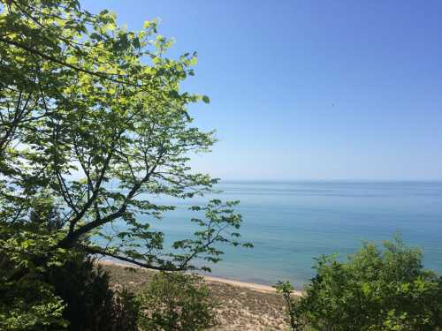 A serene view of a calm lake with clear blue water, framed by lush green trees under a bright blue sky.