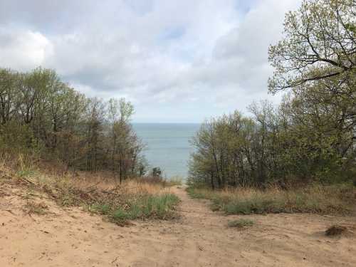 A sandy path leads down to a calm lake, surrounded by trees and a cloudy sky.