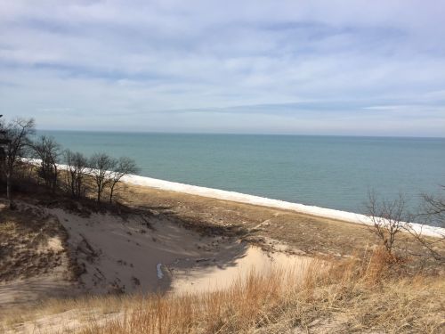 A serene beach scene with gentle waves, sandy dunes, and sparse trees under a cloudy sky.