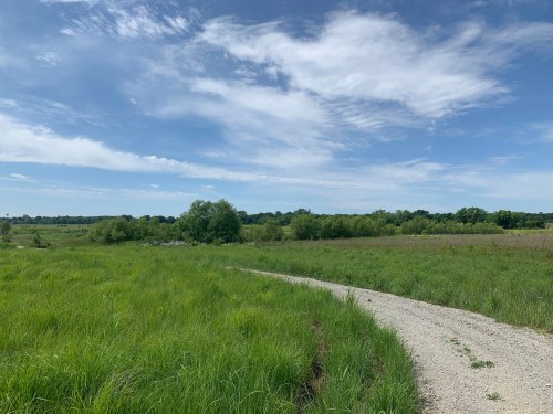 A winding gravel path through lush green grass under a blue sky with scattered clouds.