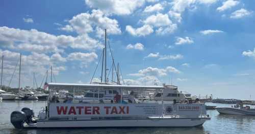 A water taxi with "WATER TAXI" written on the side, docked in a marina with boats and a blue sky in the background.