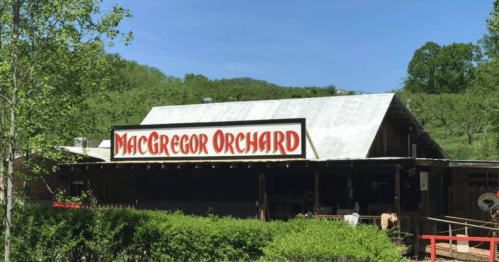 A rustic building with a sign reading "MacGregor Orchard," surrounded by greenery and blue skies.