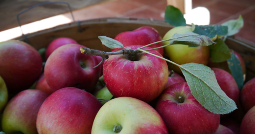 A basket filled with red and green apples, some with leaves attached, resting on a wooden surface.