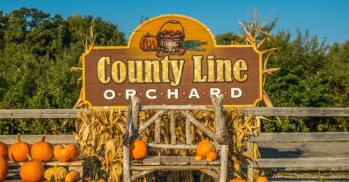 Sign for County Line Orchard with pumpkins and autumn decor in a sunny outdoor setting.