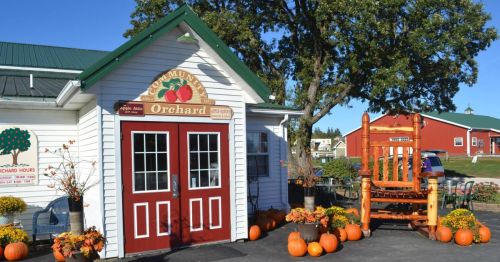 A charming orchard store with red doors, pumpkins, and a large wooden chair outside, surrounded by autumn decorations.
