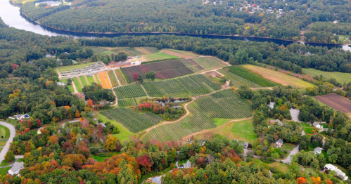 Aerial view of a colorful vineyard and farmland surrounded by trees and a river, showcasing autumn foliage.