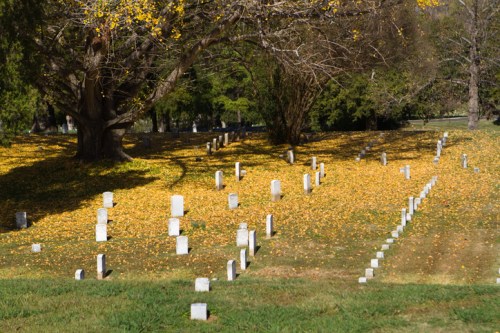 A serene cemetery scene with white gravestones scattered across a grassy area covered in yellow autumn leaves.