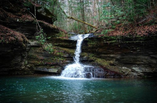 A serene waterfall cascades over rocky cliffs into a tranquil pool, surrounded by lush greenery and forest.