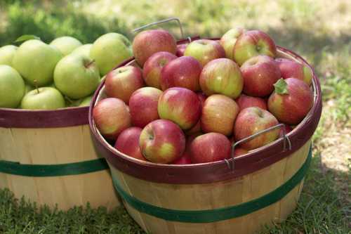 Two wooden baskets filled with red and green apples, resting on grass.