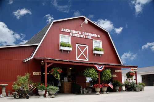 Red barn with "Jackson's Orchard & Nursery Inc." sign, surrounded by flowers and plants, under a blue sky.