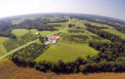 Aerial view of a lush farm with orchards, fields, and a winding road surrounded by green hills and trees.